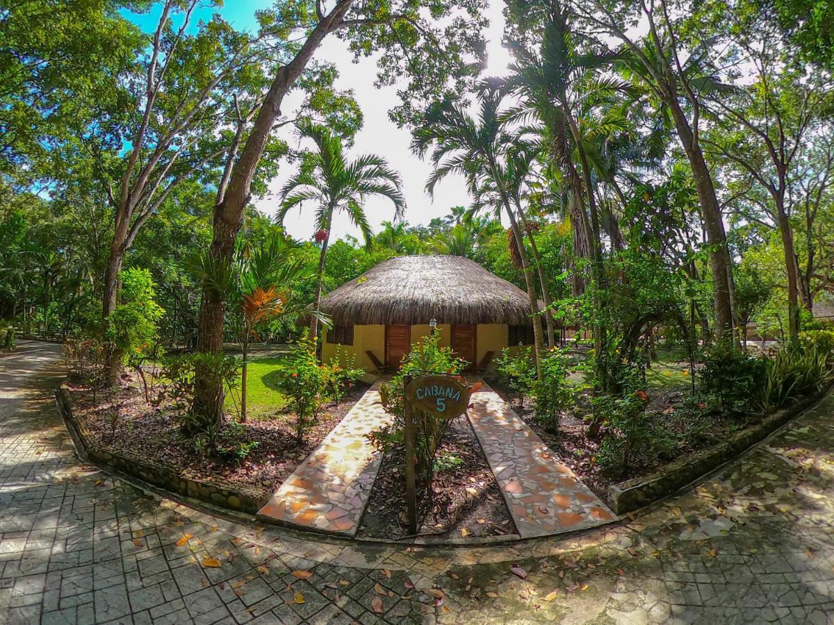 The Mayan Garden Orange Walk Εξωτερικό φωτογραφία