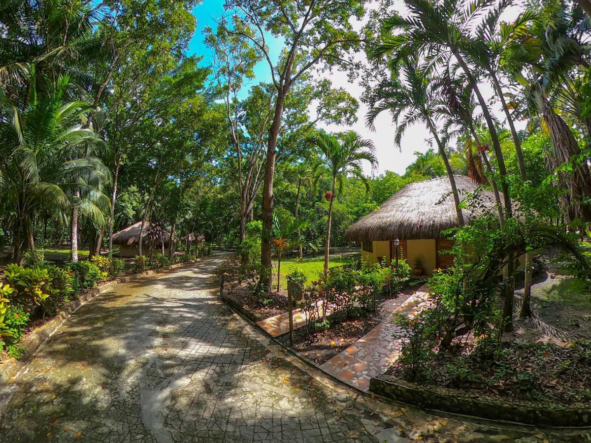 The Mayan Garden Orange Walk Εξωτερικό φωτογραφία