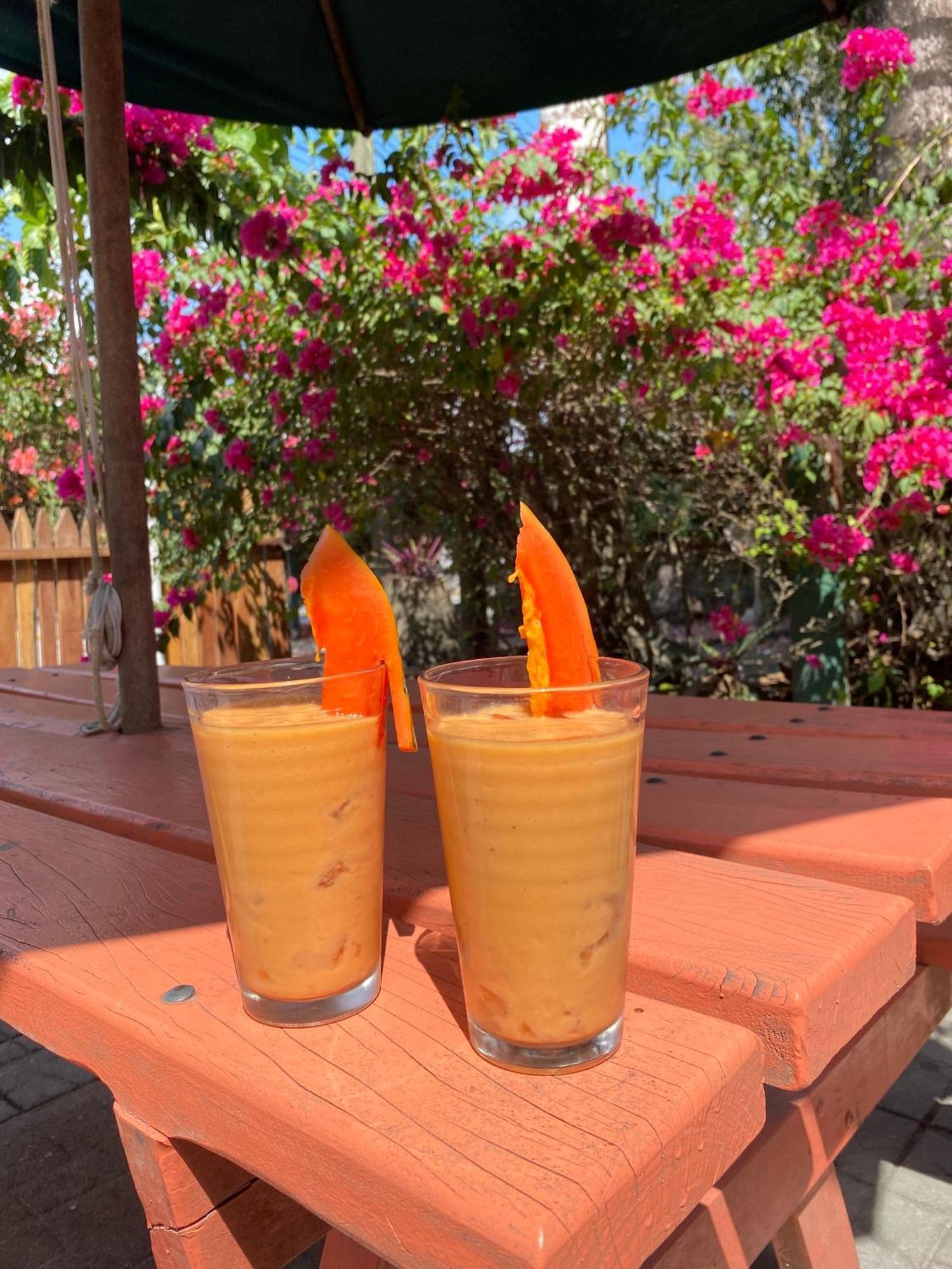 The Mayan Garden Orange Walk Εξωτερικό φωτογραφία