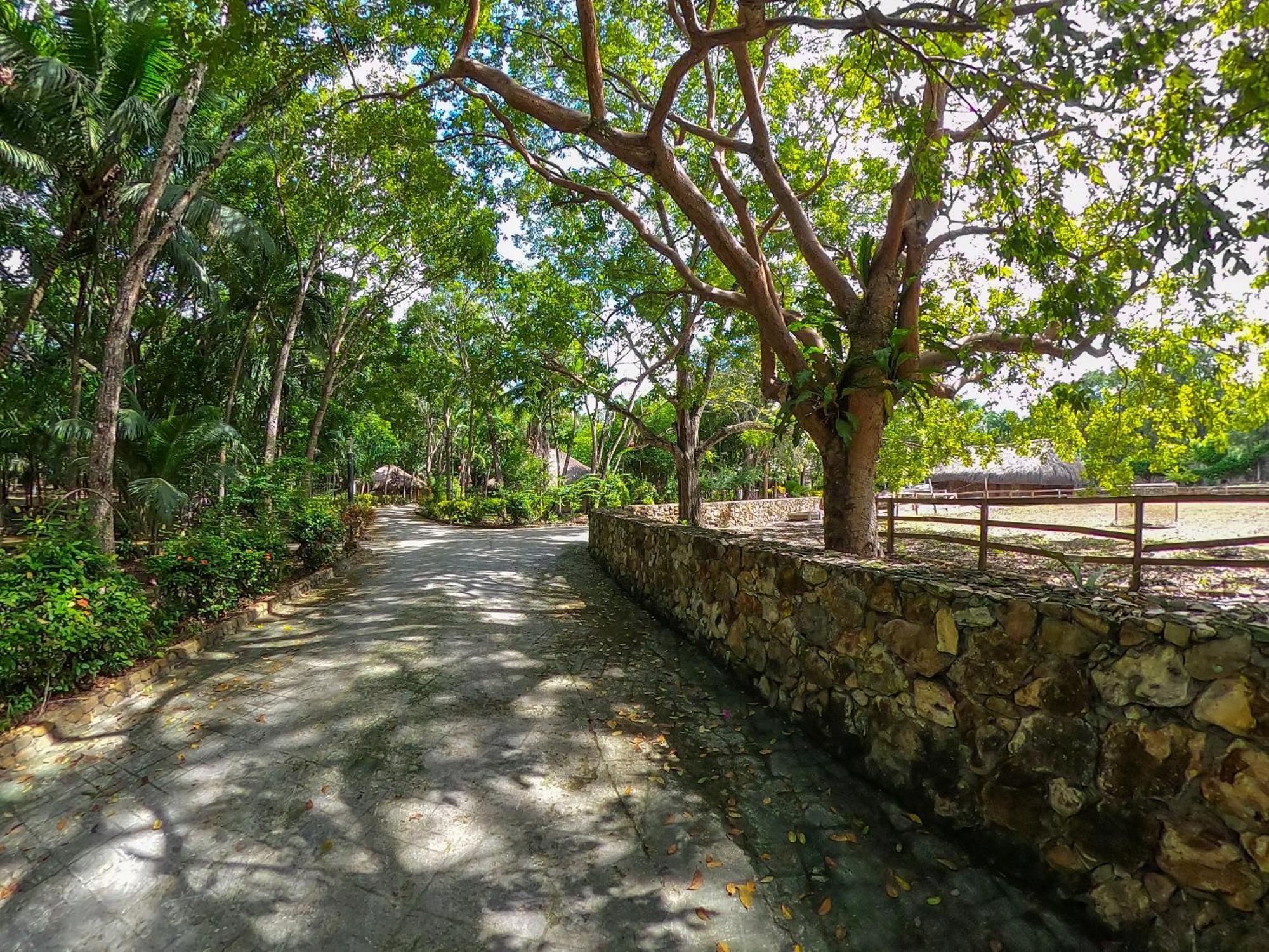The Mayan Garden Orange Walk Εξωτερικό φωτογραφία