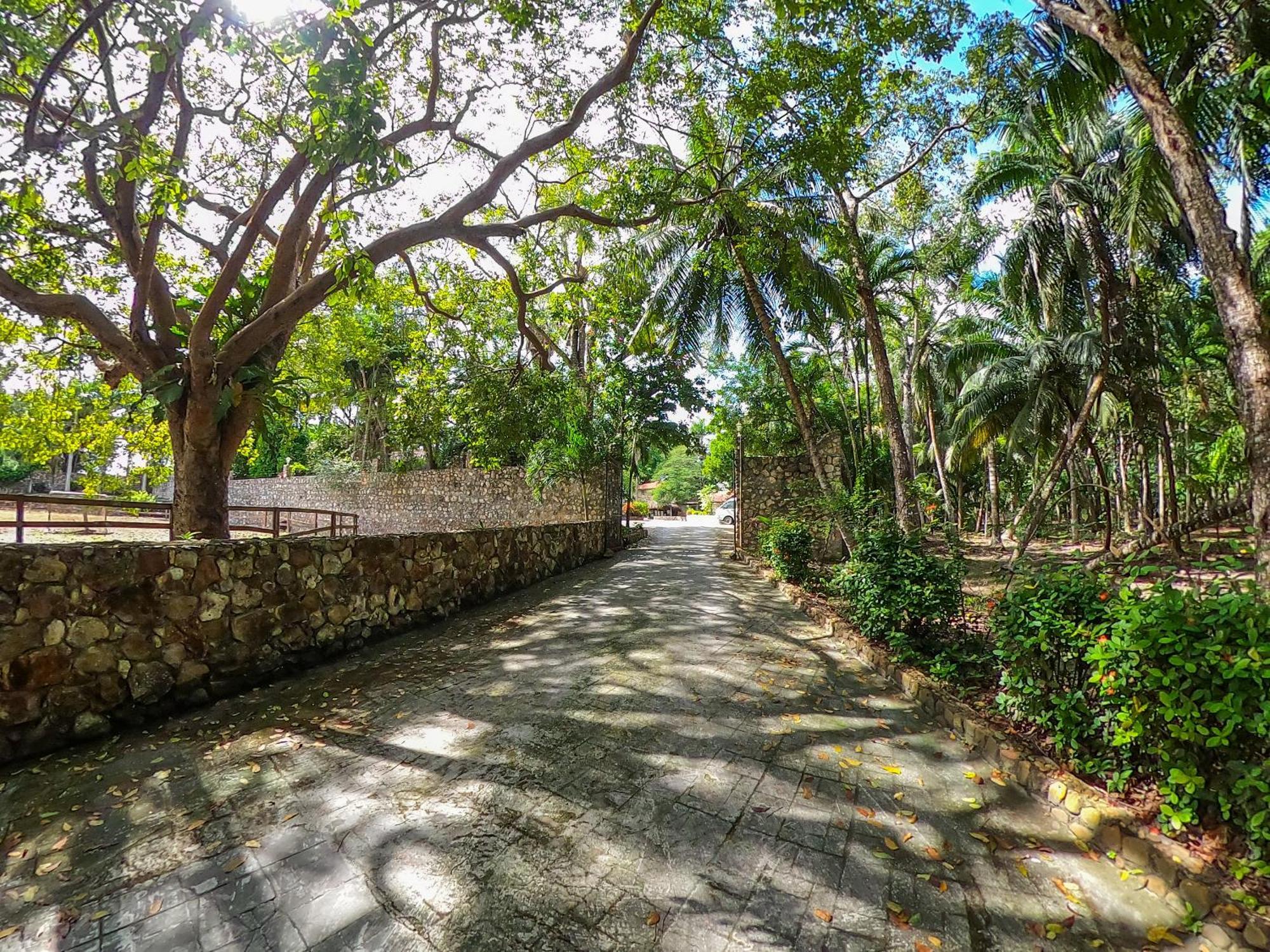 The Mayan Garden Orange Walk Εξωτερικό φωτογραφία